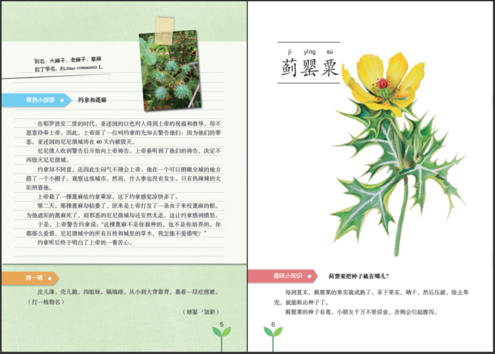 图片5