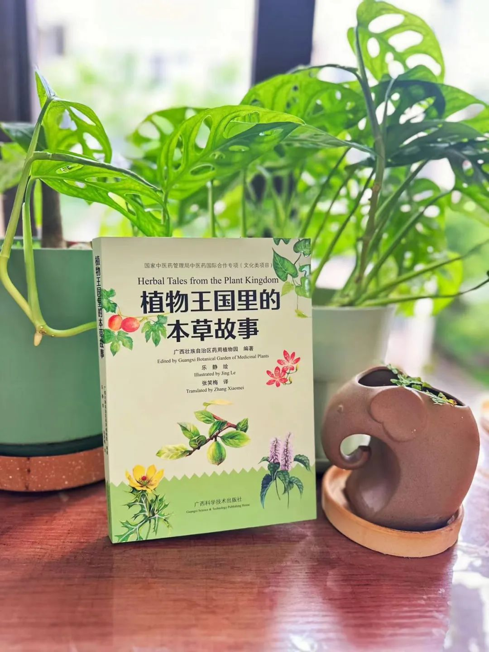 图片2