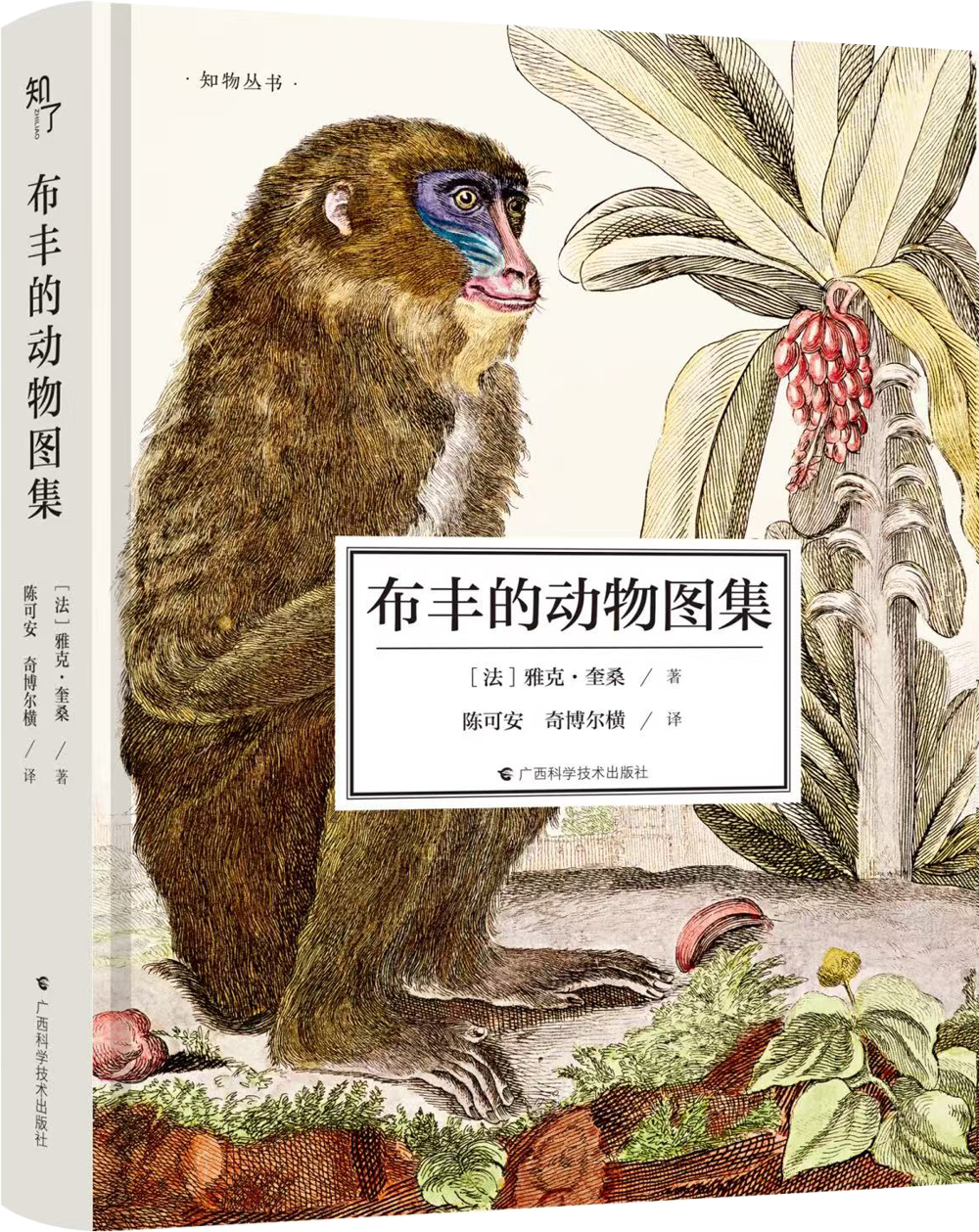 图片3