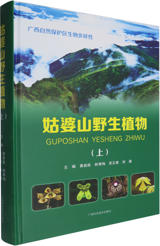 图片4