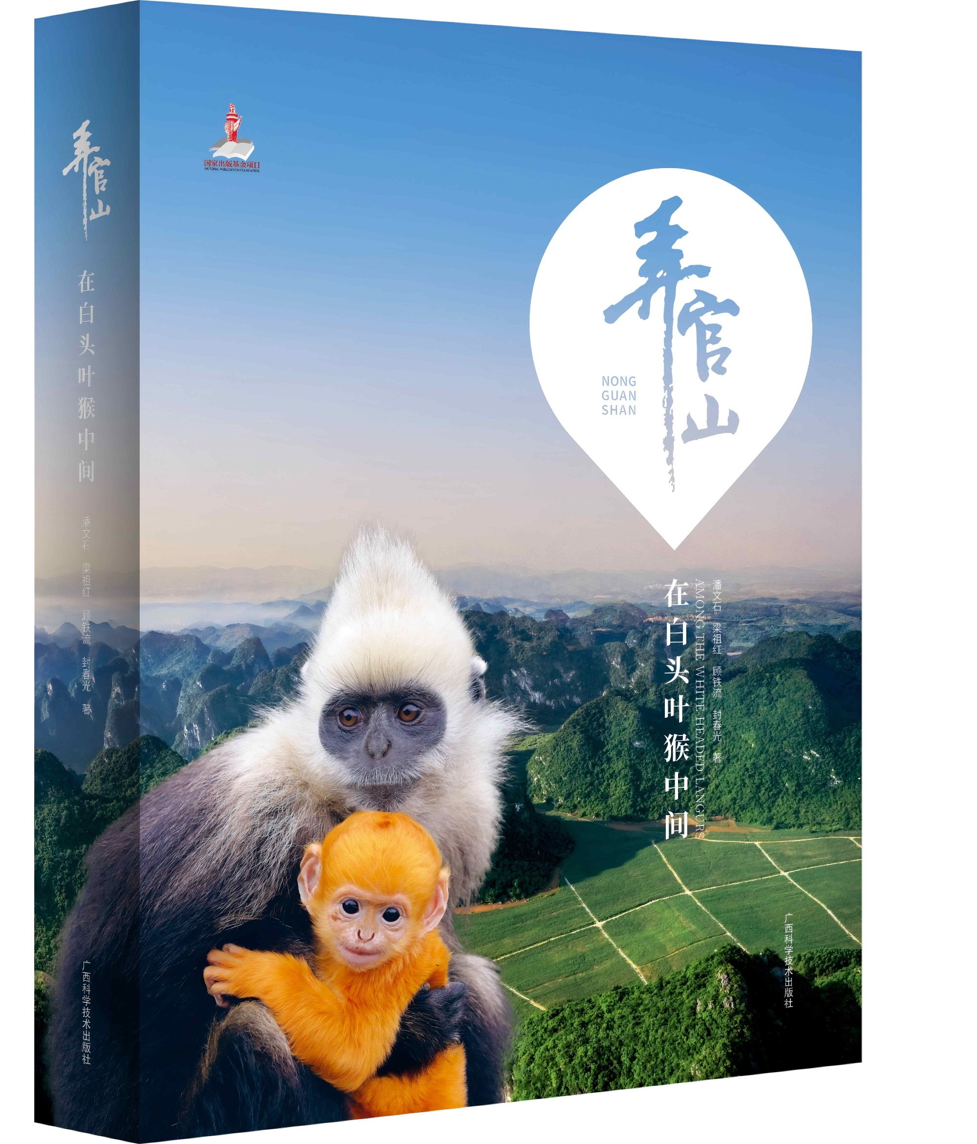 《弄官山——在白头叶猴中间》
